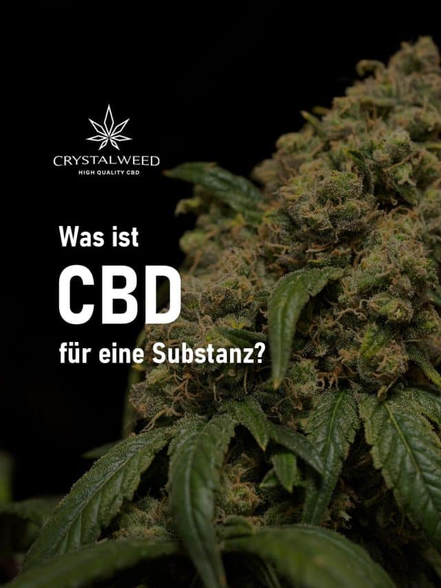 was ist cbd fur eine substanz